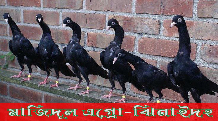 শেখর